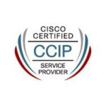 ccip service provide